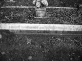 image of grave number 111136